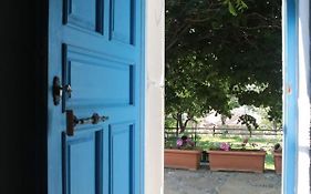Mustafa'nın Fidan'ı